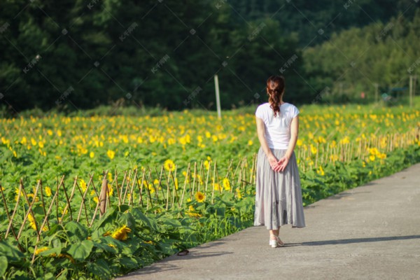 杭州按摩养生培训，实惠优惠一网打尽！